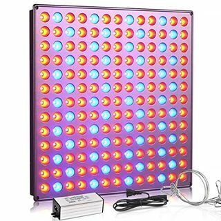 LED Grow Light