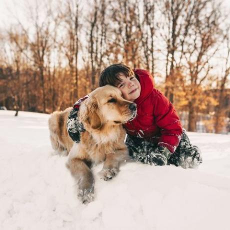 pojke med hund i snöjulens frågesport