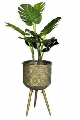 Botanique Plant Stand