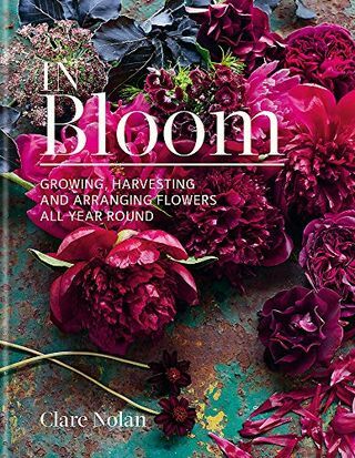 In Bloom: Odla, skörda och ordna blommor året runt