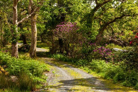 glengarriff castle till salu i irland