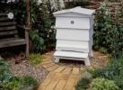 Hur man lockar bin till din trädgård