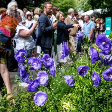 massor av besökare tittar på trädgårdsdesign på Rhs Chelsea Flower Show öppnar i London, England den 22 maj 2019 foto av Dominika Zarzyckanurphoto