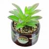 Denna Baby Yoda Succulent Planter tar ditt utrymme ur den här världen