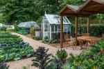 RHS Hampton: Hur man odlar din egen No Dig Allotment Garden