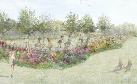 rose tea garden, rhs feature garden, designad av pollyanna wilkinson, rhs hampton court palace garden festival 2022