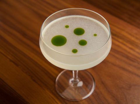 basilika gimlet