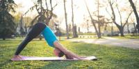 Brits Workout-Proofing Gardens tack vare UK Heatwave - Trädgårdstrender för sommaren