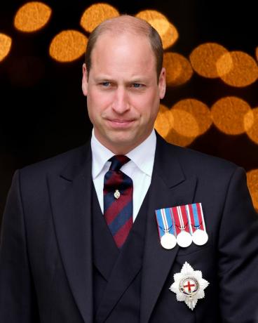 prins william