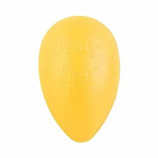 Jolly Egg Dog Toy