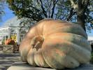 Tre av de största pumporna i nordöstra USA visas i New Yorks botaniska trädgård