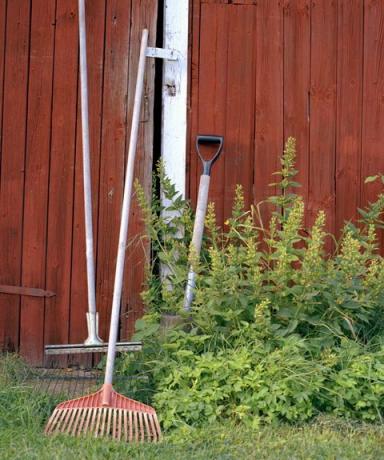 trädgårdsredskap lutar på skjulväggen