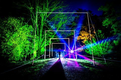 Förtrollad jul på National Arboretum i Westonbirt Glos från 29 november till 22 december