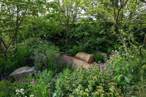 the place2be säkrar morgondagens trädgård designad av jamie butterworth rhs chelsea flower show 2022