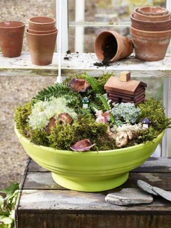 DIY trädgårdsidéer, fairy garden