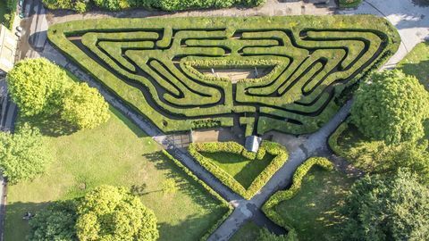 flygfotografi av labyrinten i hampton court palace som visar en del av vildmarken