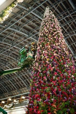 47ft blommig julgran avslöjades på St Pancras International Station, London.