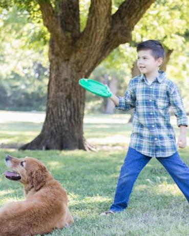 pojken förbereder sig för att kasta plastskivan till hunden