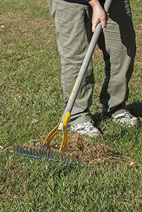 Dethatching Rake, 54-tums trähandtag