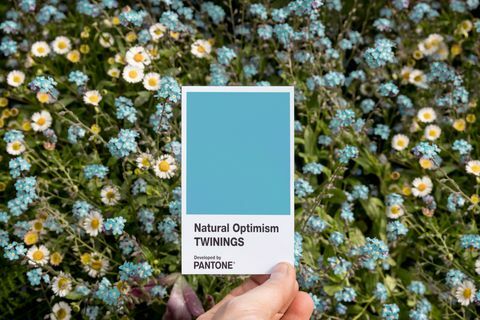 Twinings Infusions Natural Optimism i samband med Pantone