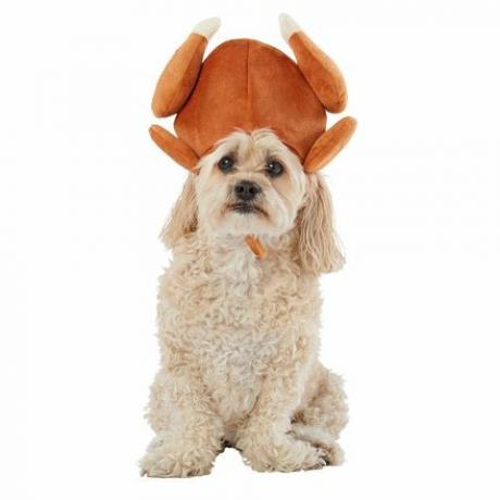 Top Paw Turkey Pet Hat