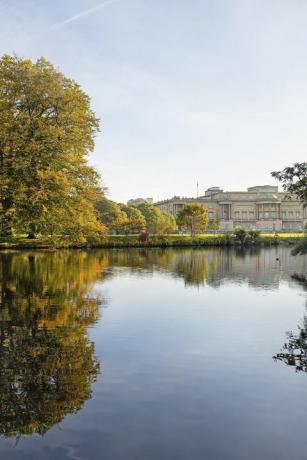 buckingham palace besökare kan picknick i de härliga trädgårdarna i sommar