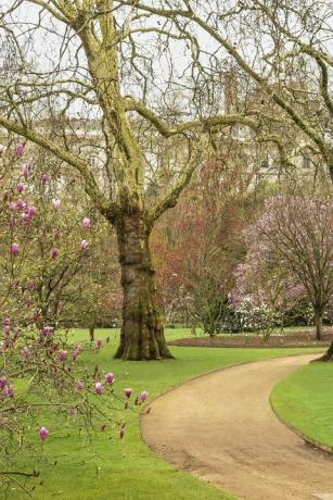 buckingham palace trädgårdar avslöjade i en ny bok