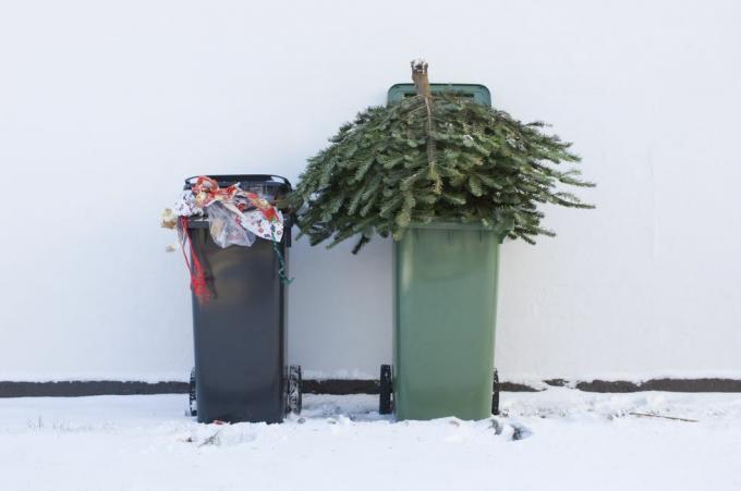 återvinna din julgran