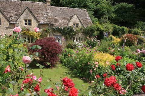 En av de bästa trädgårdarna i Bibury cotswolds; William Morris kallade den för den vackraste byn i landet;