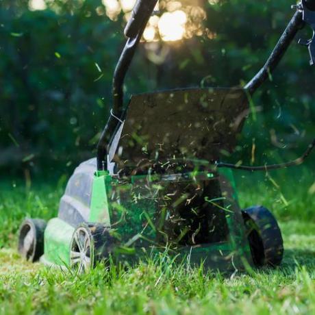 trädgårdsgräsmattan att klippa eller inte klippa, grön gräsklippare