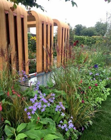 chelsea flower show 2021 hittar vår väg en nhs tribute garden