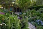 Chelsea Flower Show: Köp växter från Chris Beardshaws trädgård