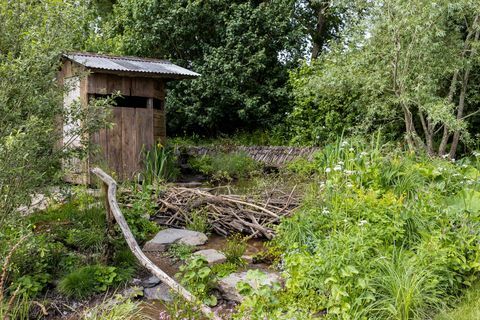 ett rewilding brittisk landskap designat av lulu urquhart och adam hunt sponsrat av projekt som ger tillbaka till stöd för rewilding britain show garden rhs chelsea flower show 2022