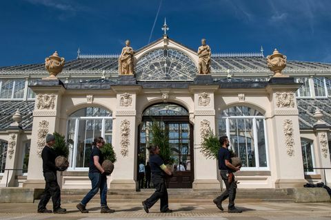 Nyrenoverade Kew Garden's tempererade hus öppnar igen för allmänheten