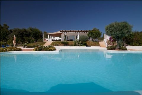 villa dalia - Ibiza - pool - Zoopla