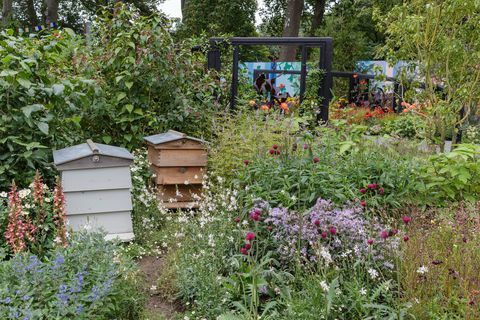 rhs cop26 trädgårdsskyddszon designad av marie louise agius, balston agius feature garden rhs chelsea flower show 2021 monter nr 327