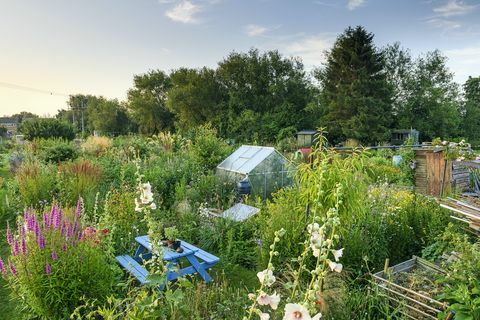 koloniträdgård i oxfordshire vinner utmärkelsen bbc gardeners' world magazine garden of the year 2021